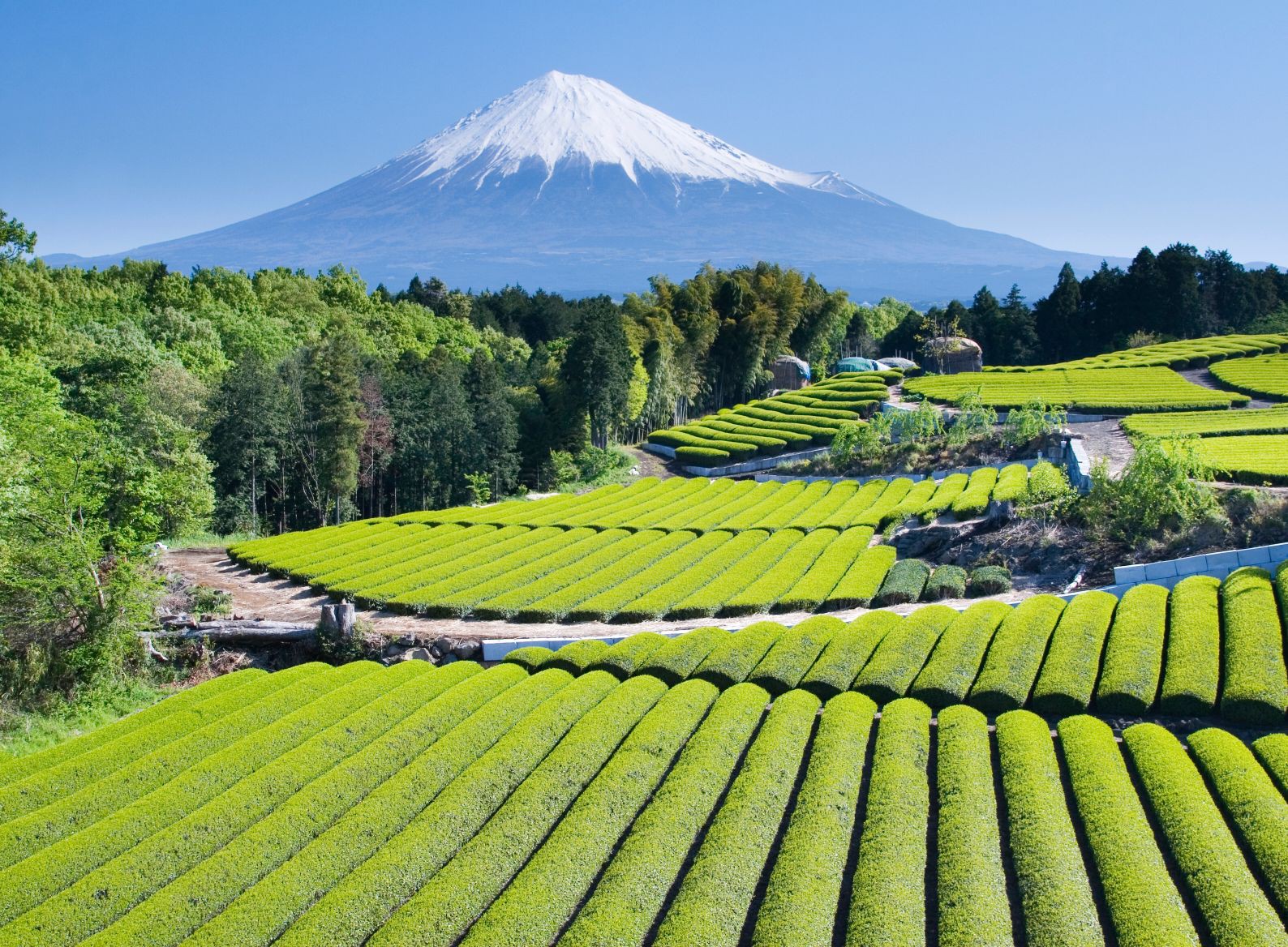 Japan Land der aufgehenden Sonne Leserreisen Japan Land der aufgehenden Sonne Leserreisen