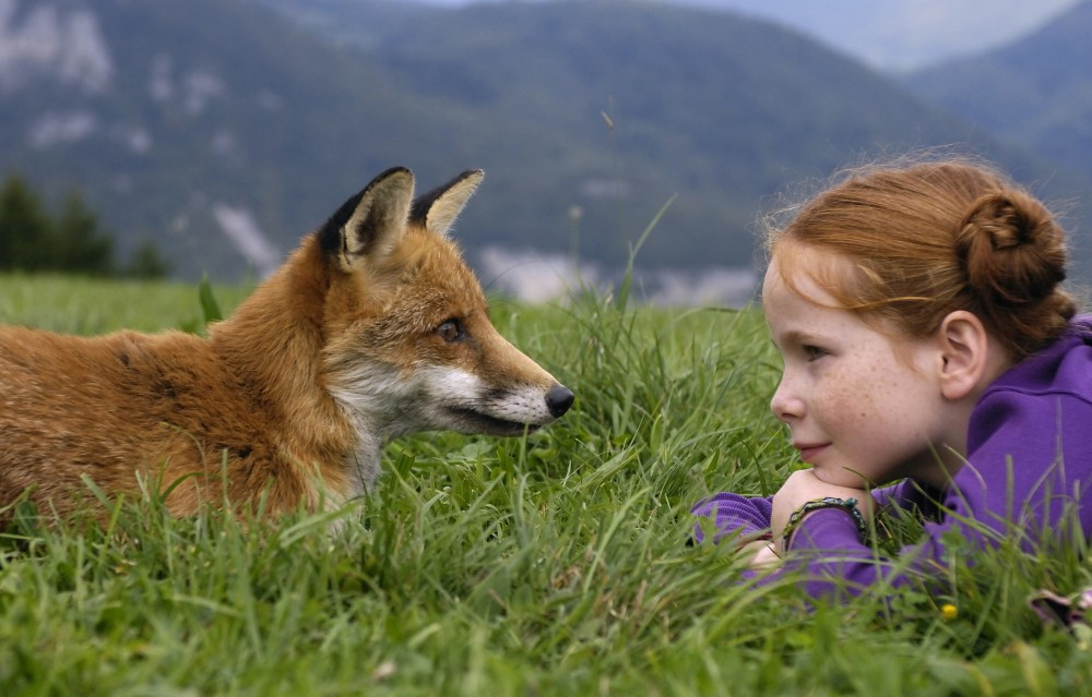 Der Fuchs und das Mädchen Trailer, Kritik, Bilder und Infos zum Film Der Fuchs und das Mädchen Trailer, Kritik, Bilder und Infos zum Film