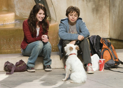 Das Hundehotel Film Das Hundehotel Film