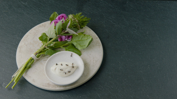 Kräuterbouquet und Dip aus schwarzen Ameisen.