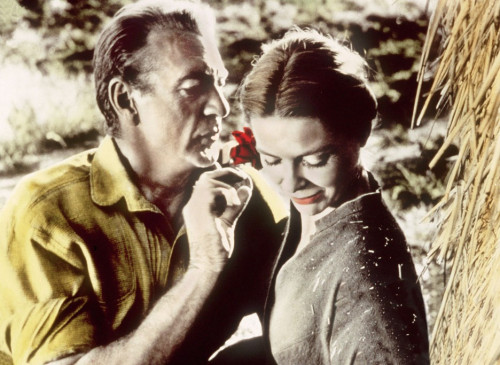 Lockende Versuchung Trailer, Kritik, Bilder und Infos zum Film