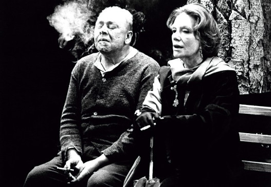 Der Besuch Der Alten Dame Innerer Monolog Der Besuch der alten Dame - Trailer, Kritik, Bilder und Infos zum Film