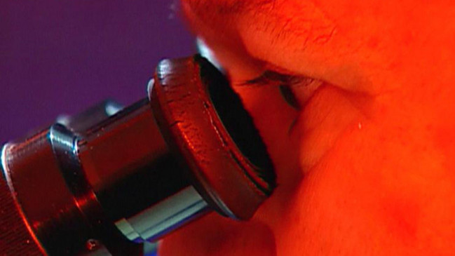 Medical Detectives Geheimnisse Der Gerichtsmedizin Stream Medical Detectives Geheimnisse Der Gerichtsmedizin Stream