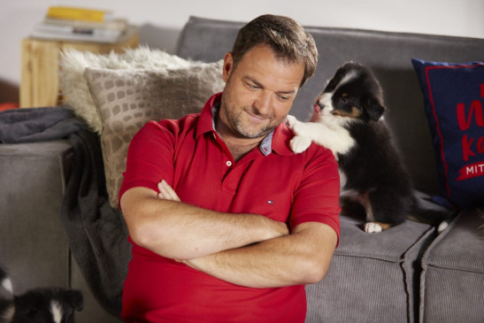 RTL Mediathek: Martin Rütter - 26015488 5a9Da98aDD5c267e3De75b28476fe526 980x365re0