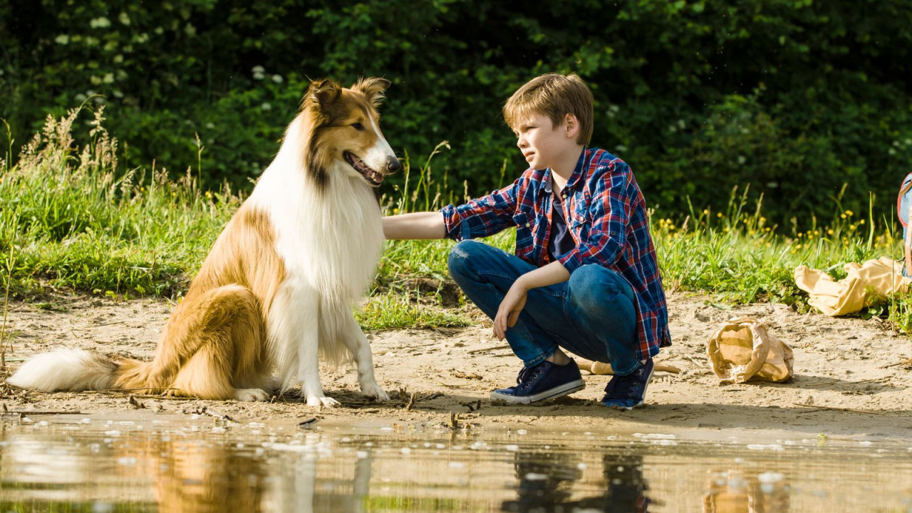 Lassie - Eine abenteuerliche Reise - Trailer, Kritik ...