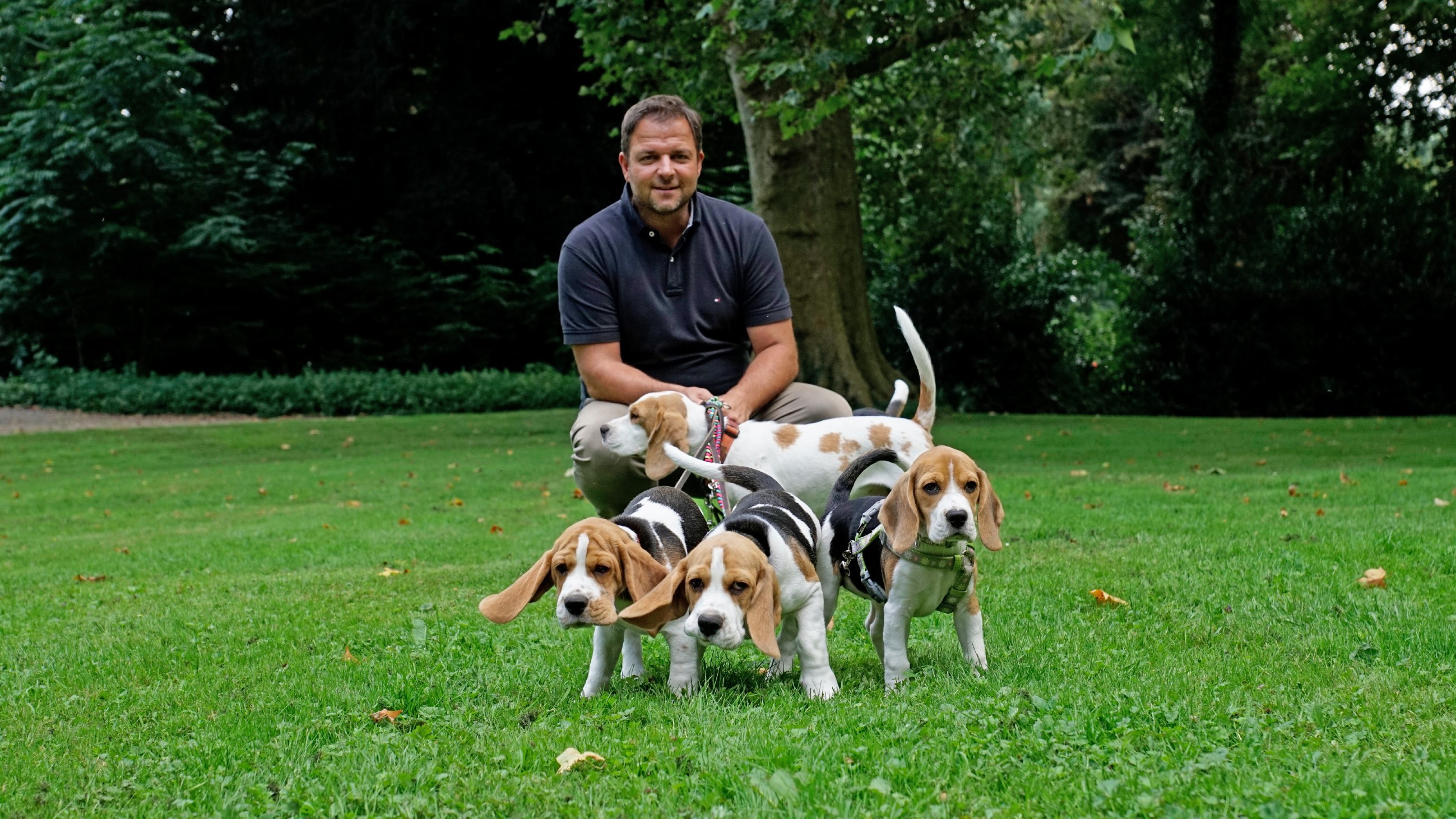 Der Hundeprofi unterwegs: Neue Folgen mit Martin Rütter bei Vox - 11901258 D66beeceb513ce6cD79fc80DD9faD68a